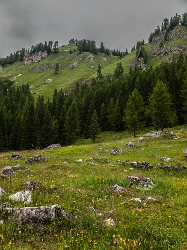 Hike 1--
Malga Vallesinella Di Sopra